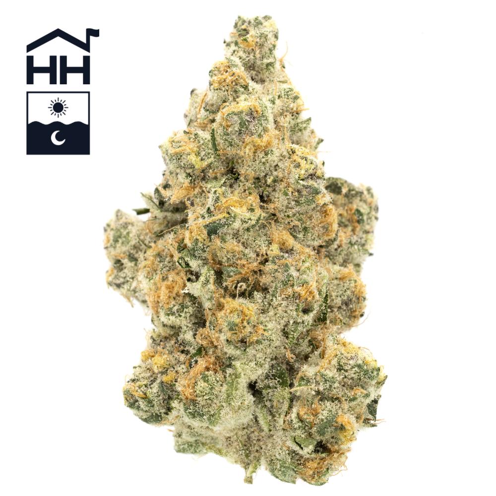 SuperBoofNug