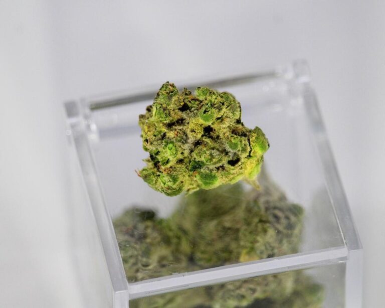 Do_Terpenes_Matter_The_Role_of_Terpenes_in_Your_Weed